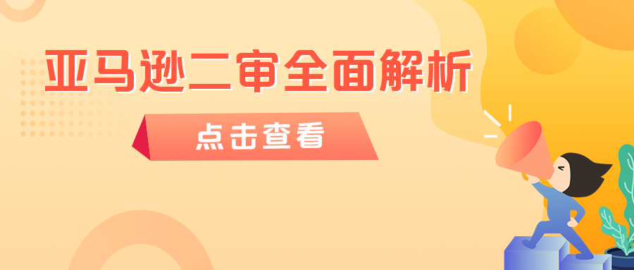 亚马逊运营软件